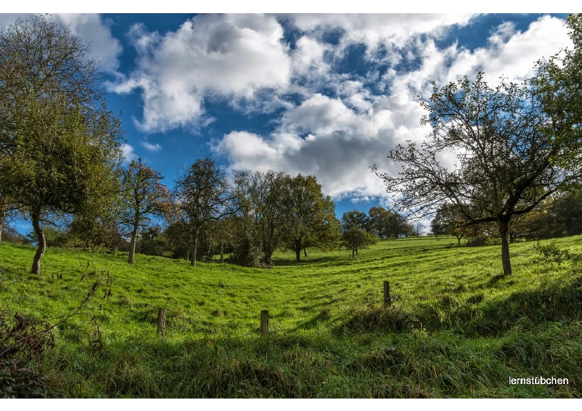 Wanderung im Herbst.pdf